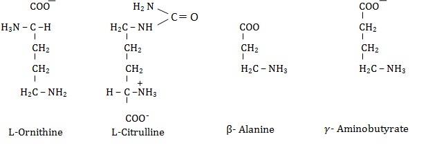 L ornithine and citrulline